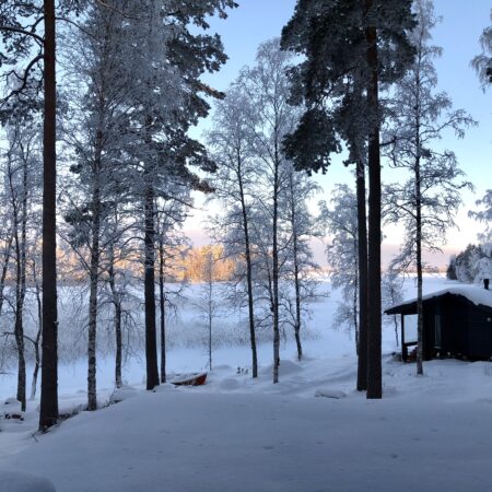 Hyvää ja turvallista joulua!