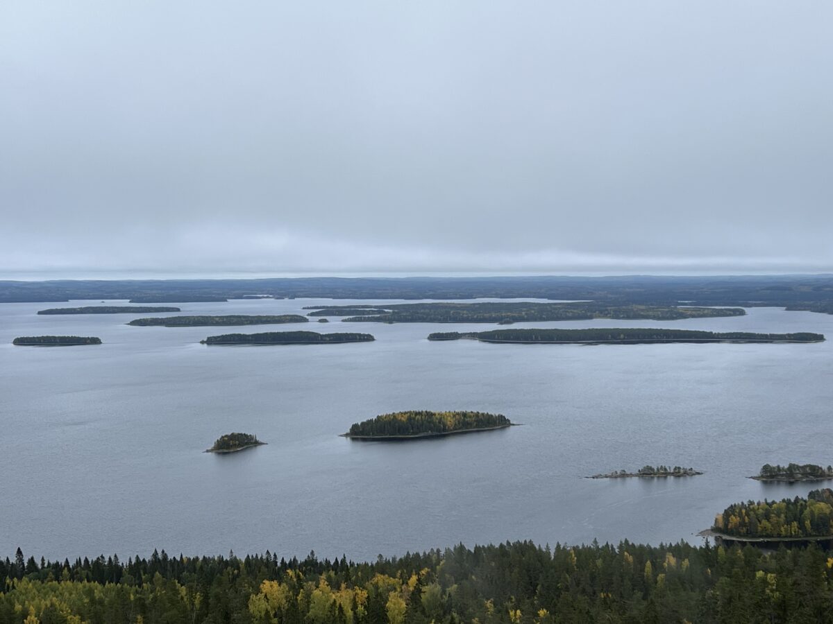 Kolilla vaellettiin metsäalan tulevaisuudessa