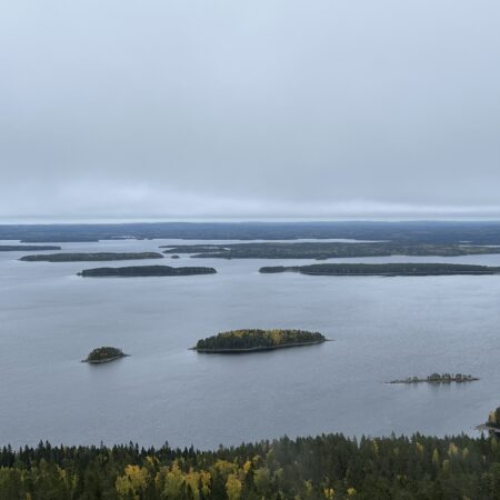 Kolilla vaellettiin metsäalan tulevaisuudessa