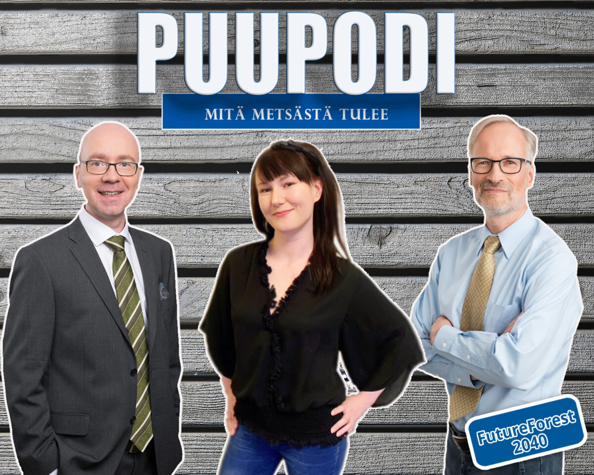 Puupodi: Mittarissa tulevaisuuden kestävyys